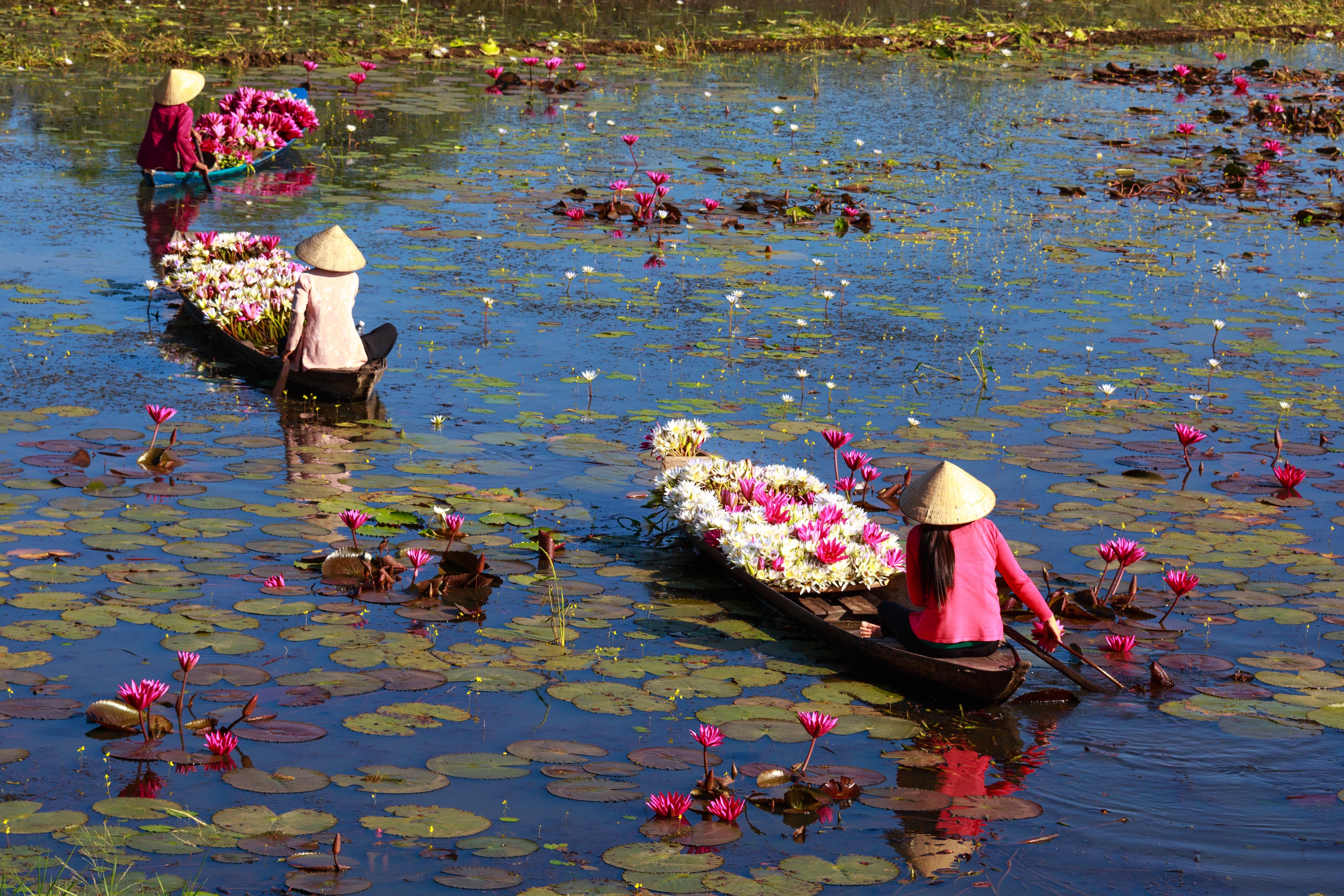 Read more about perfume in our blog...