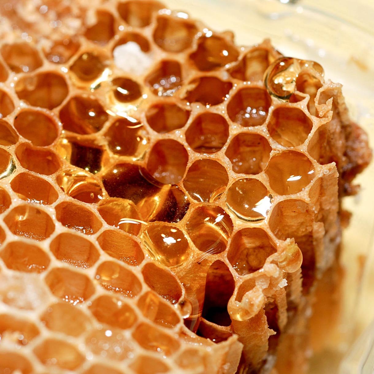 Beeswax